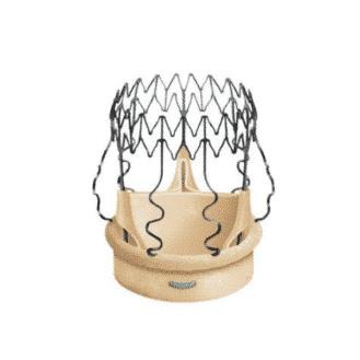 Valve prosthesis